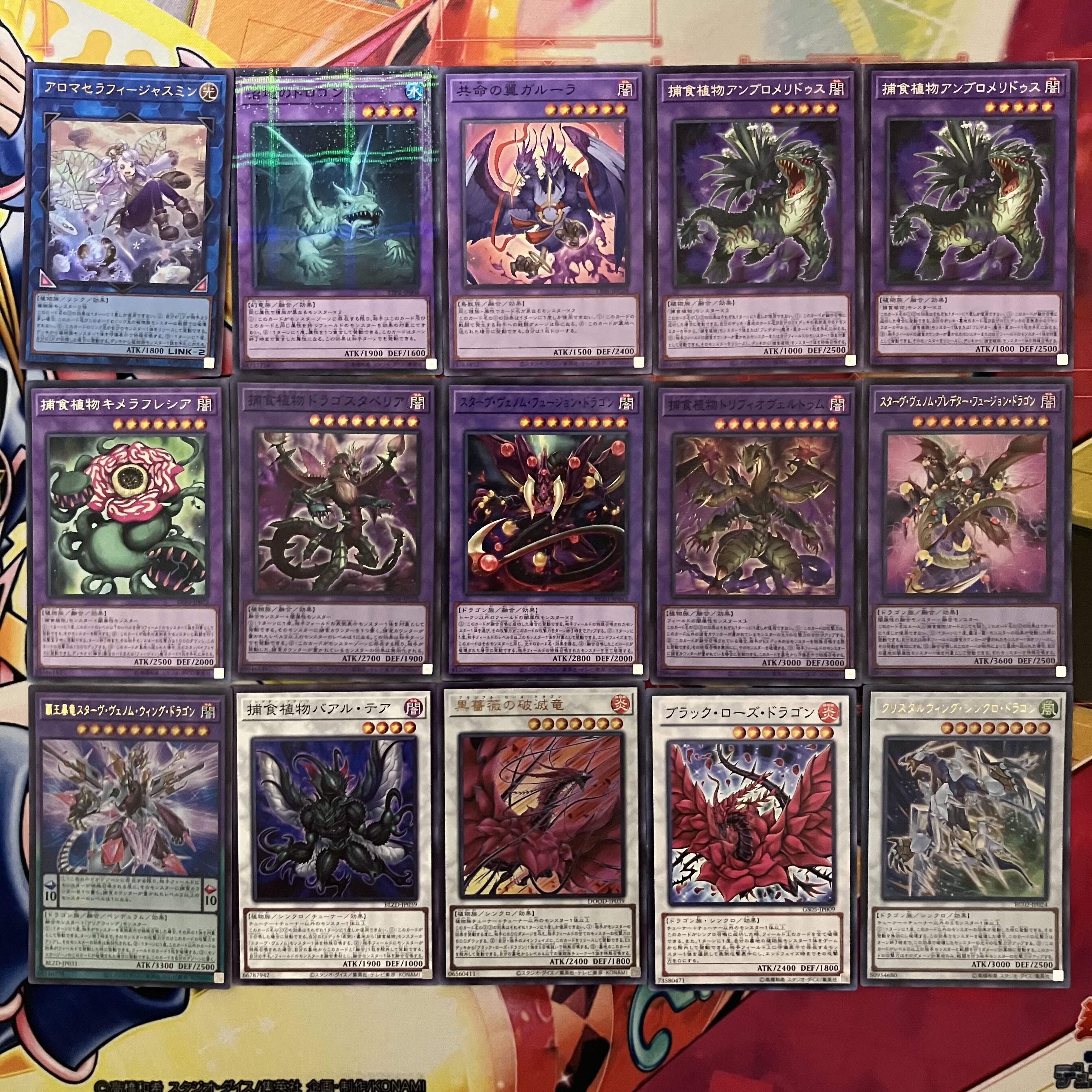 No.1442 捕食植物デッキ プレデタープランツデッキ 遊戯王 Predaplant deck 1枚