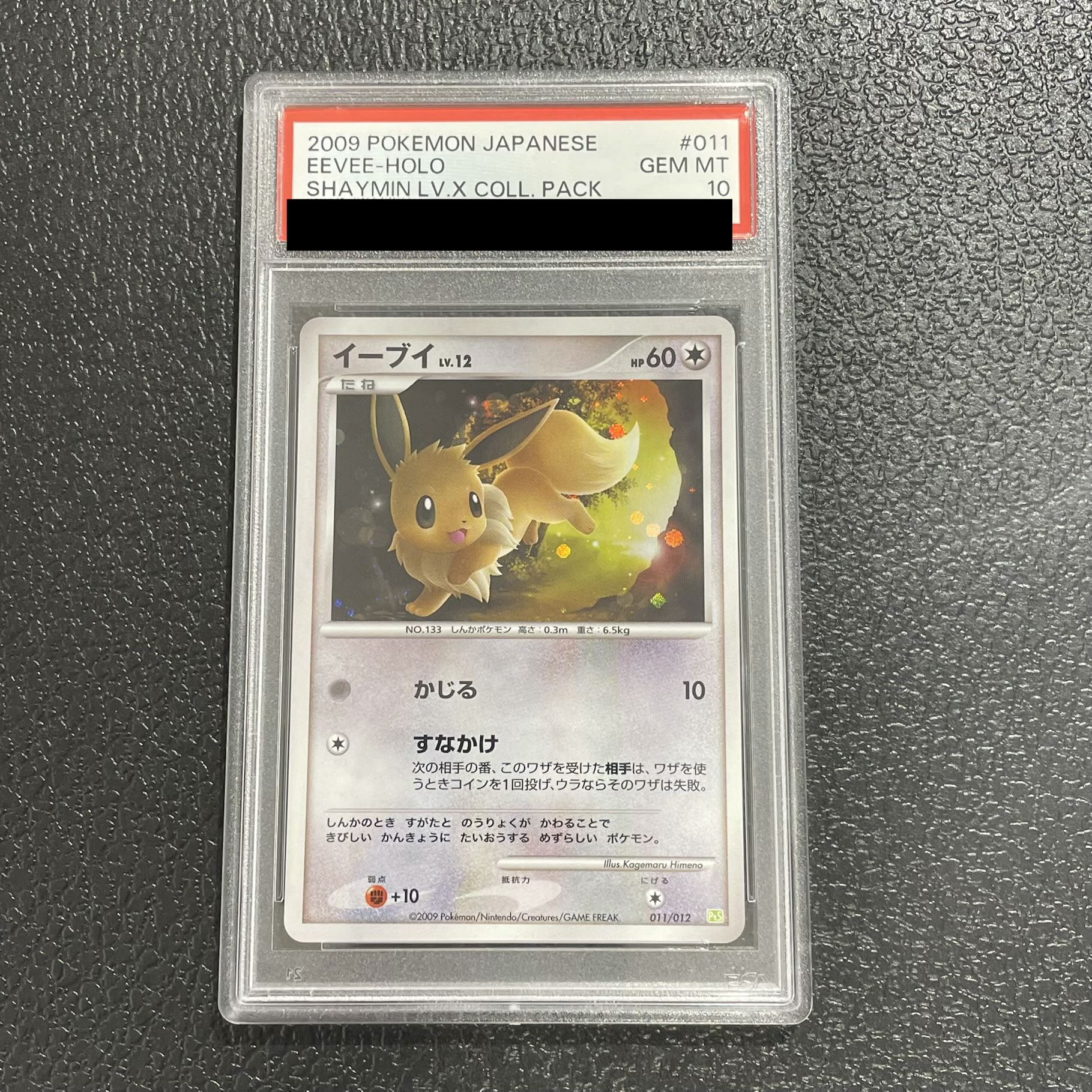 イーブイ lv.12 かじる　011/012 PSA10】イーブイ Lv.12(-) {011/012} [PtS] 1枚 (Used) （324363007