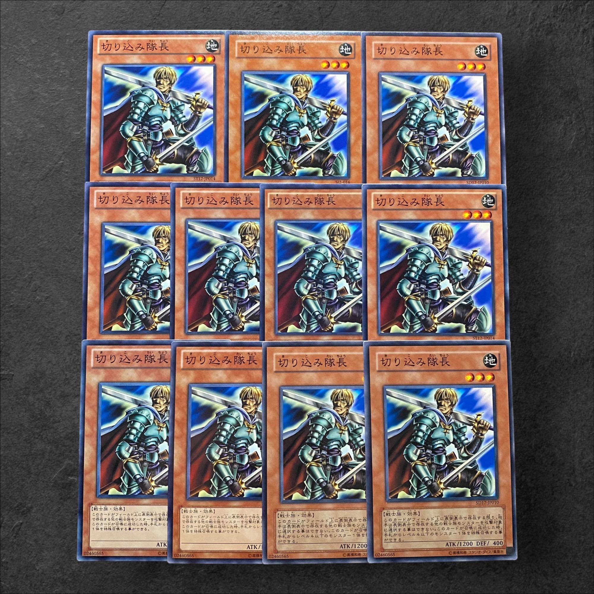 6787 [King of Games] Marauding Captain 11-card set