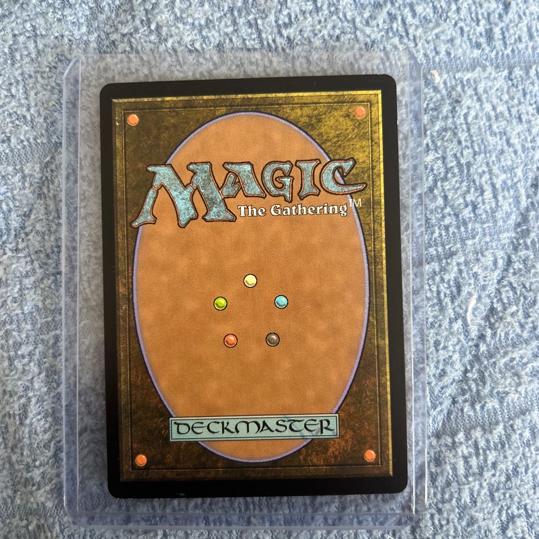 壌土からの生命 レア 172/254 1枚