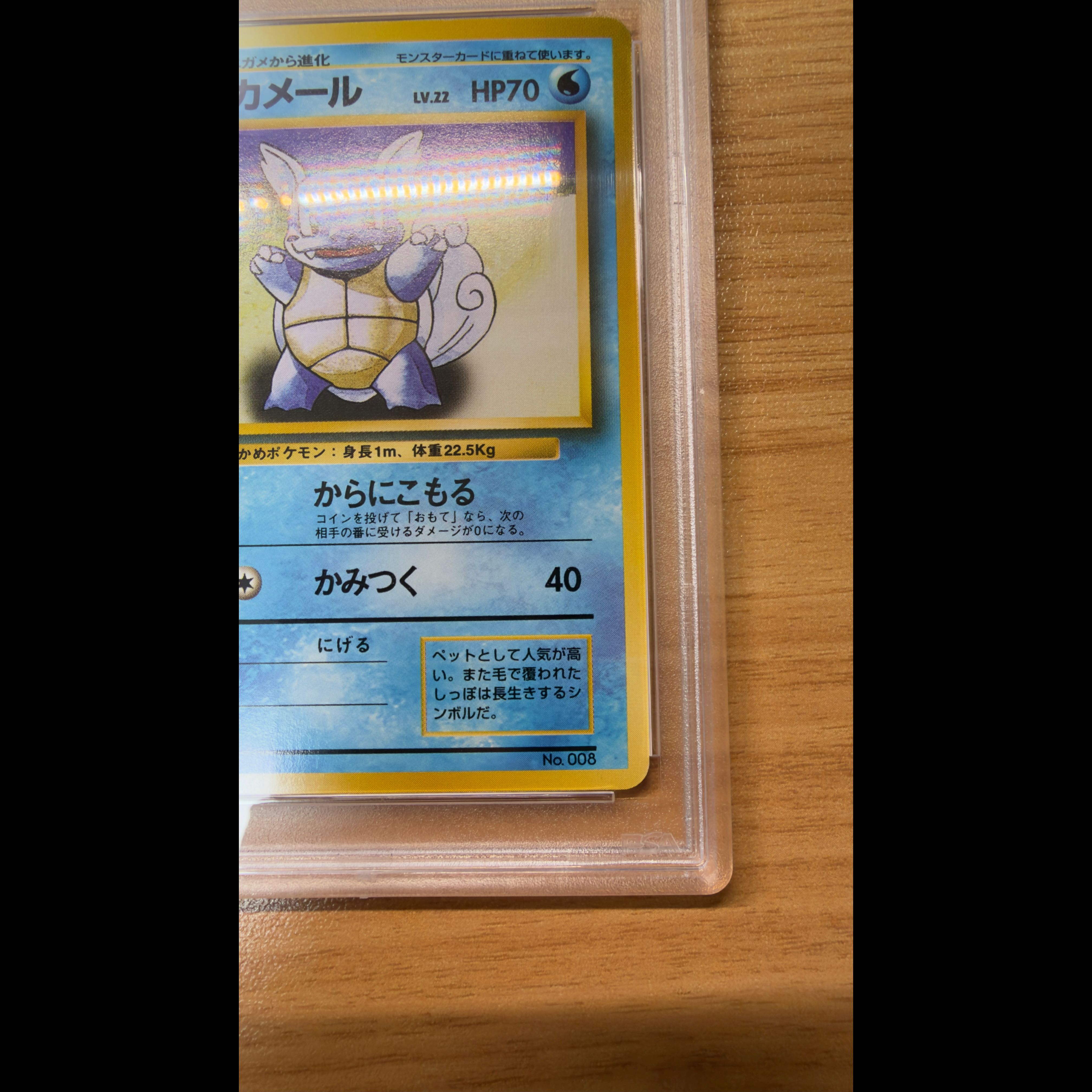 [PSA10] Vintage Back Wartortle No. 008 First Edition, No Mark, No Rarity, POP31 1枚