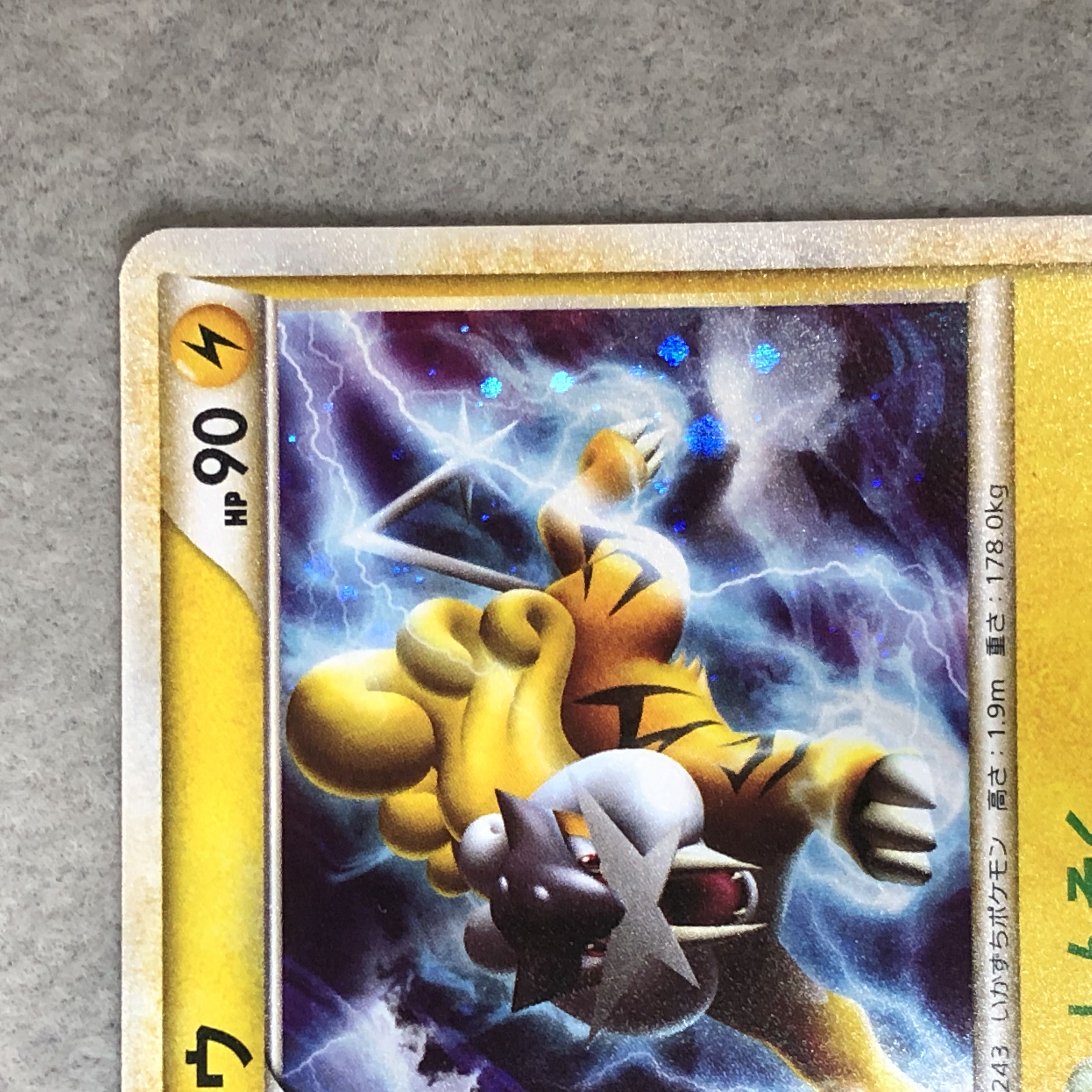Raikou Color-matched Pokemon Present Campaign PROMO 064/L-P