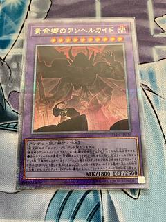 Golden Township Anhelkade QCSE, 25th Sikh ALIN-JP036