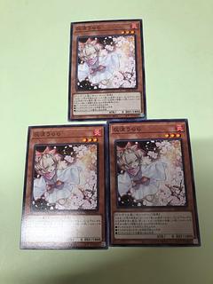 Ash Blossom & Joyous Spring Normal SD48-JP017 3枚