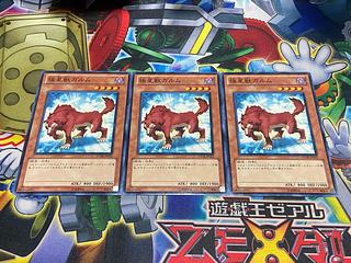 Y-3871 Garmr of the Nordic Beasts Normal JP012 3枚