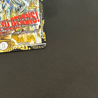 Summit of "Shura" VAN Beethoven SR P65/Y18