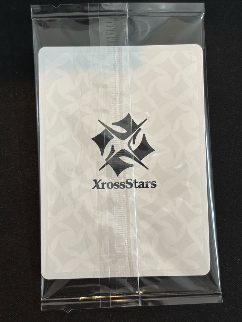 Play Party 2025 PPカード P {PR-019} 1枚