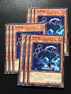 遊戯王スタジオ 9枚 金華猫 ノーマル JP022