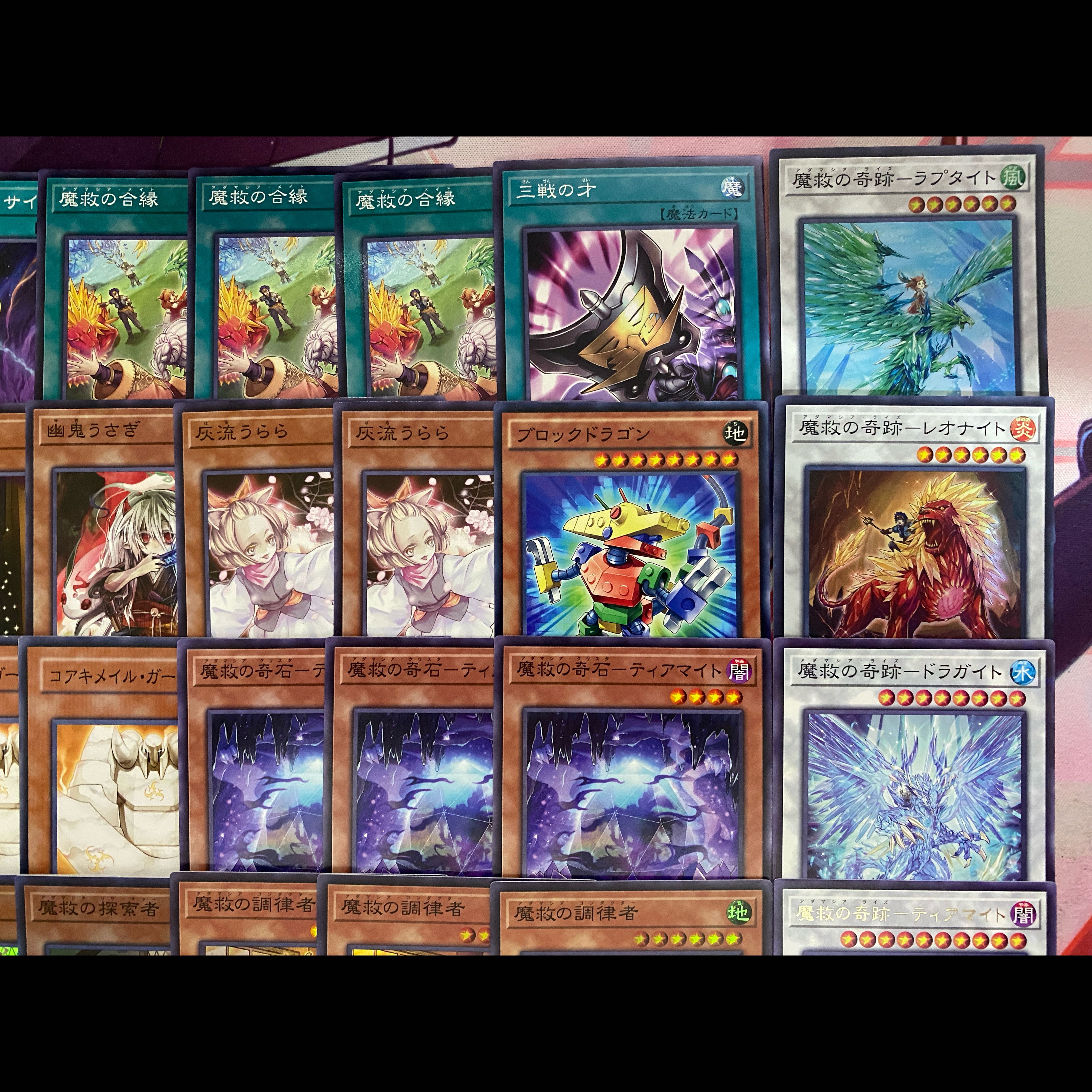 新規採用　遊戯王　魔救　アダマシア　大会構築デッキ 1枚