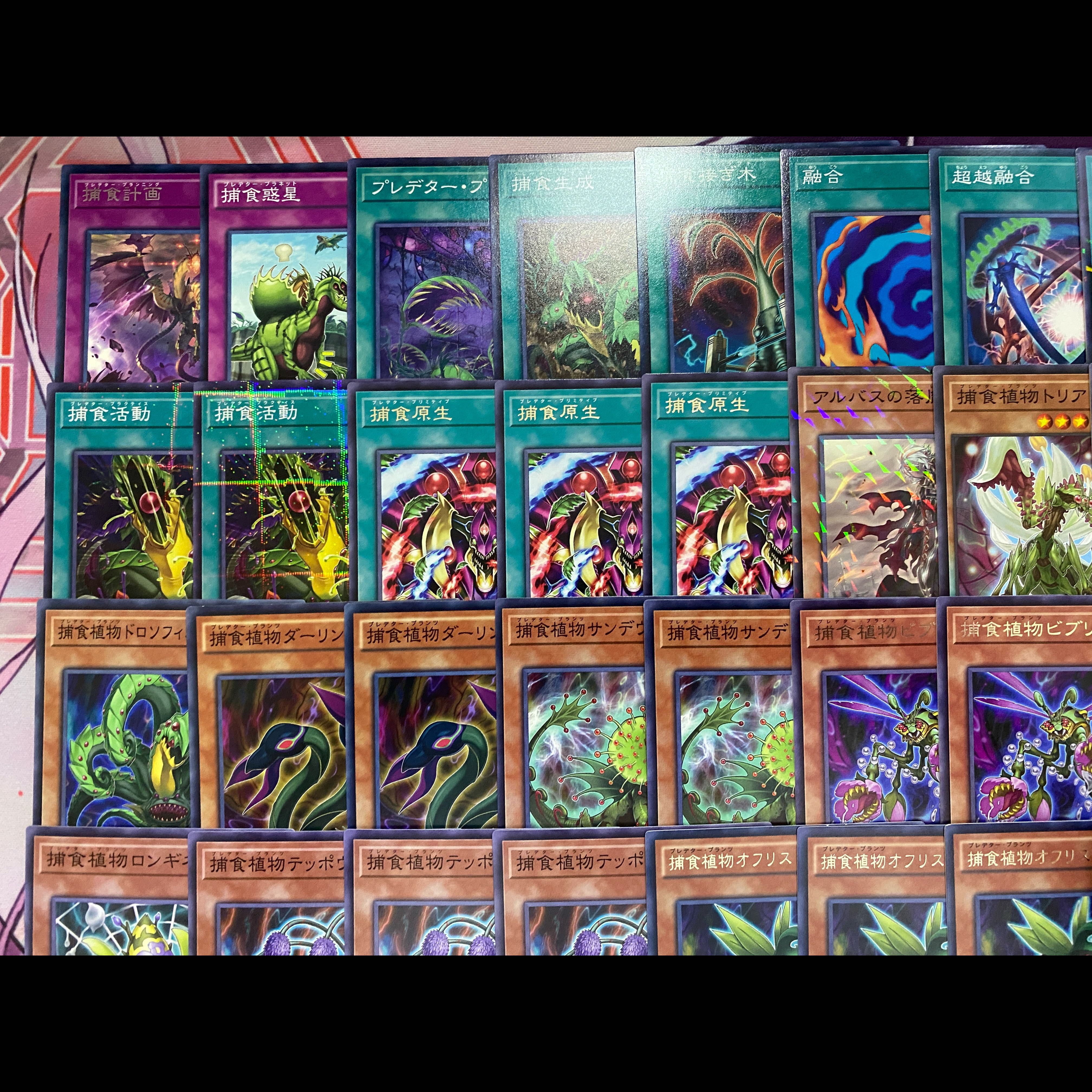 [Ships Within 24 Hours] Yu-Gi-Oh! Branded Prey Upon: Predator Plants—Fully Built Deck 1枚