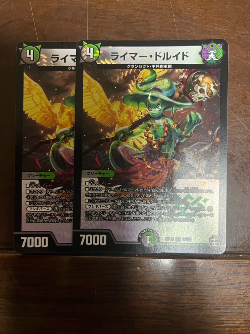 ライマー・ドルイド VR 10/95 1枚