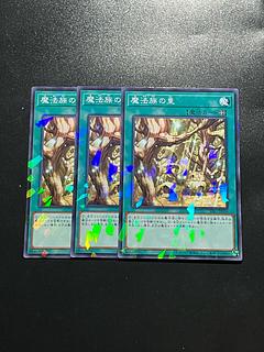 Secret Village of the Spellcasters