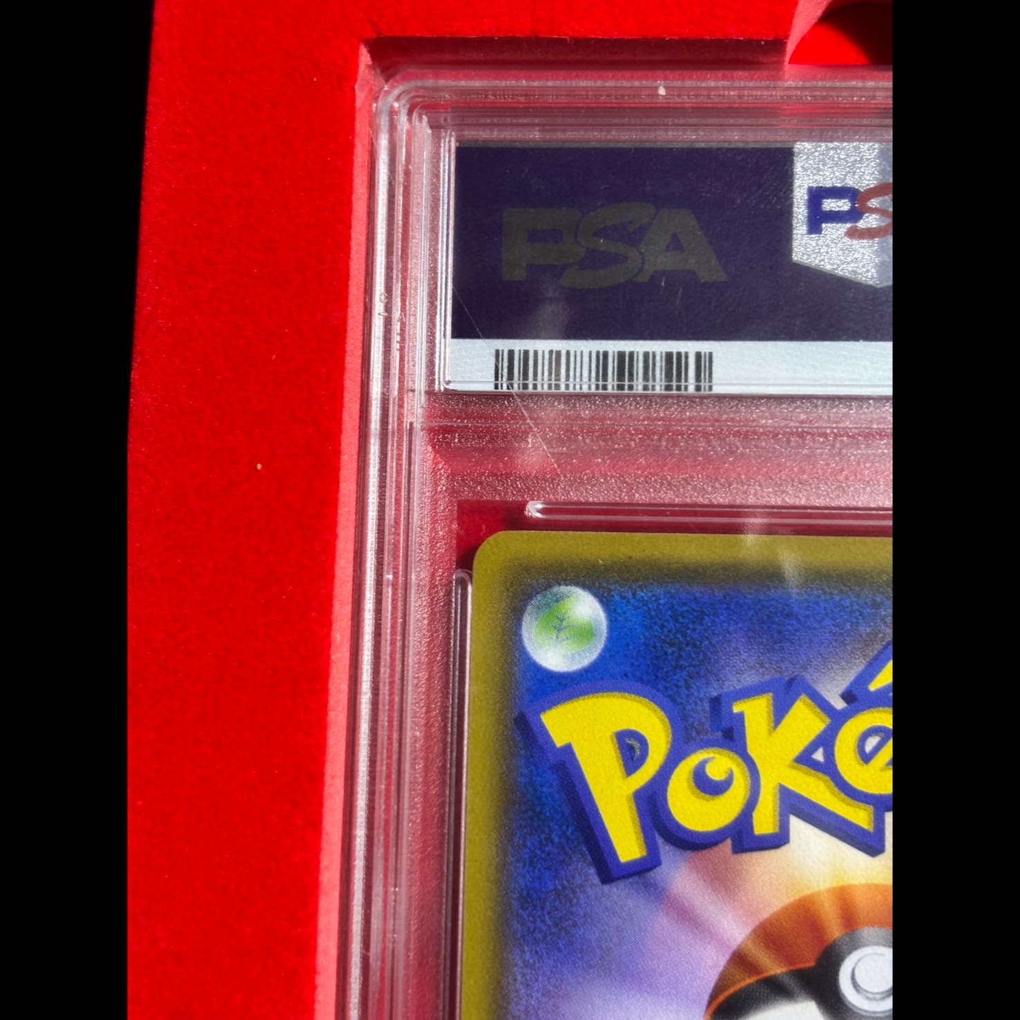 PSA10 [PSA10] Rowlet Munch Rowlet PROMO 290/SM-P 1枚