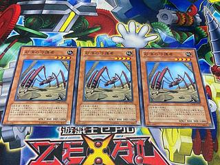 Y-4325 Desert Protector Normal JP034 3枚