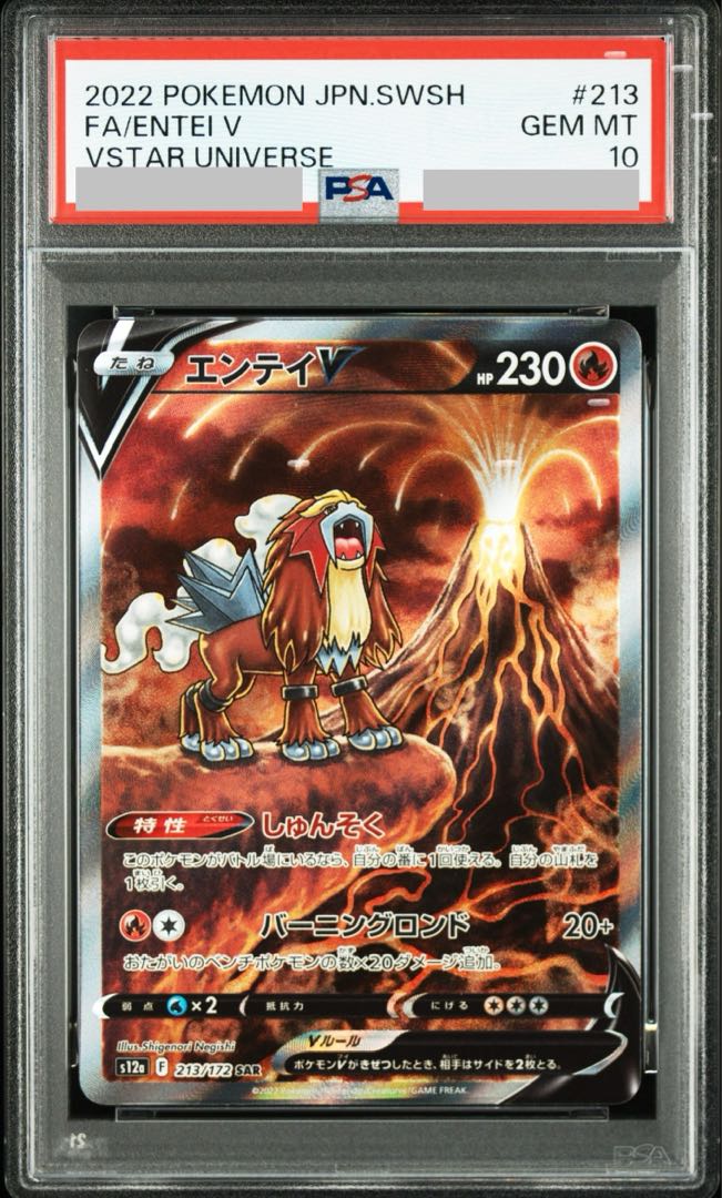 [PSA10] EnteiV SAR 213/172