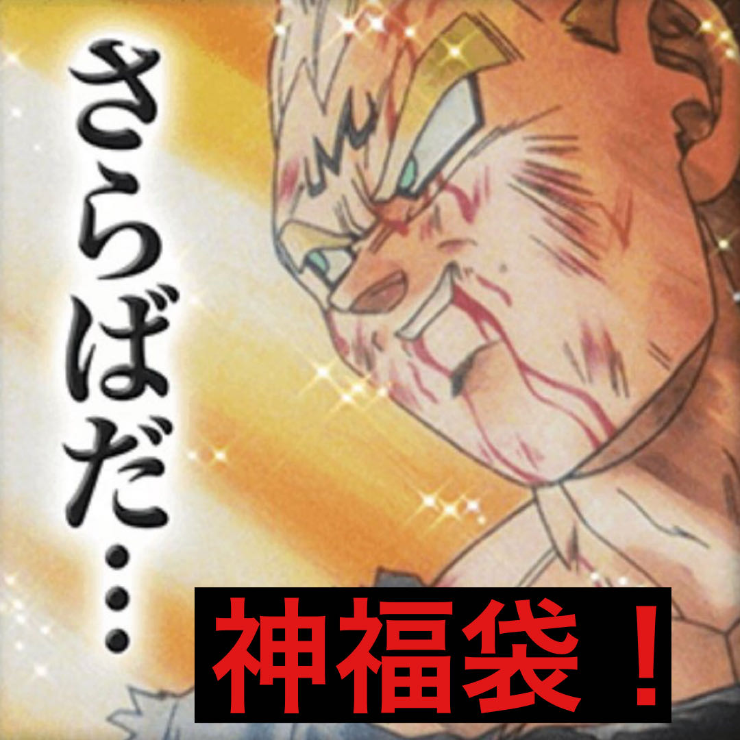 Dragon Ball Heroes Fortune Bag!