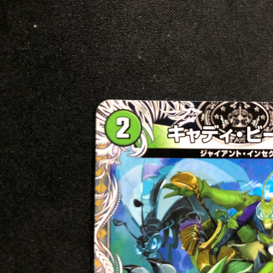 Cady Bedele (Black Treasure) U T5/T10