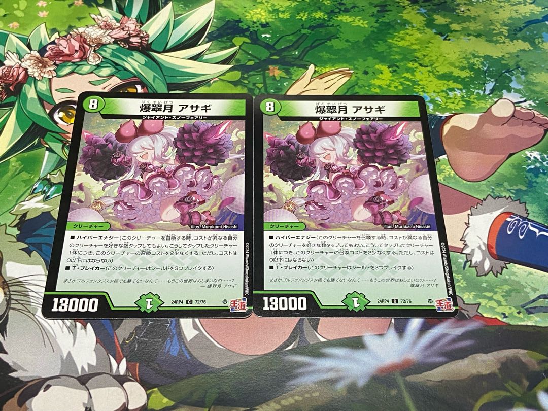 D-48 Bakusuizuki Asagi C 72/76 2枚