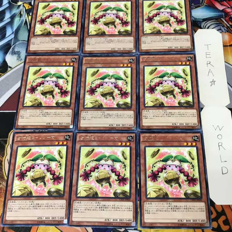 Prediction Princess Coinorma 1 rare, set of 9 Tera.