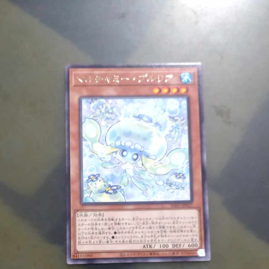 Multiamy Purulia Rare INFO-JP027 [Mokurindo].