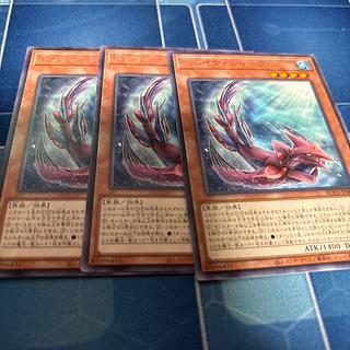 ドレイク・シャーク レア ROTA-JP002