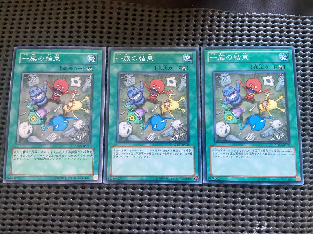 Y-52 Solidarity Normal JP054