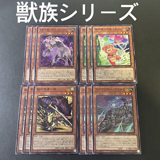 245 Yu-Gi-Oh, Beast Series, Sen Fighting Beast Card Set, 12 cards total, deck parts