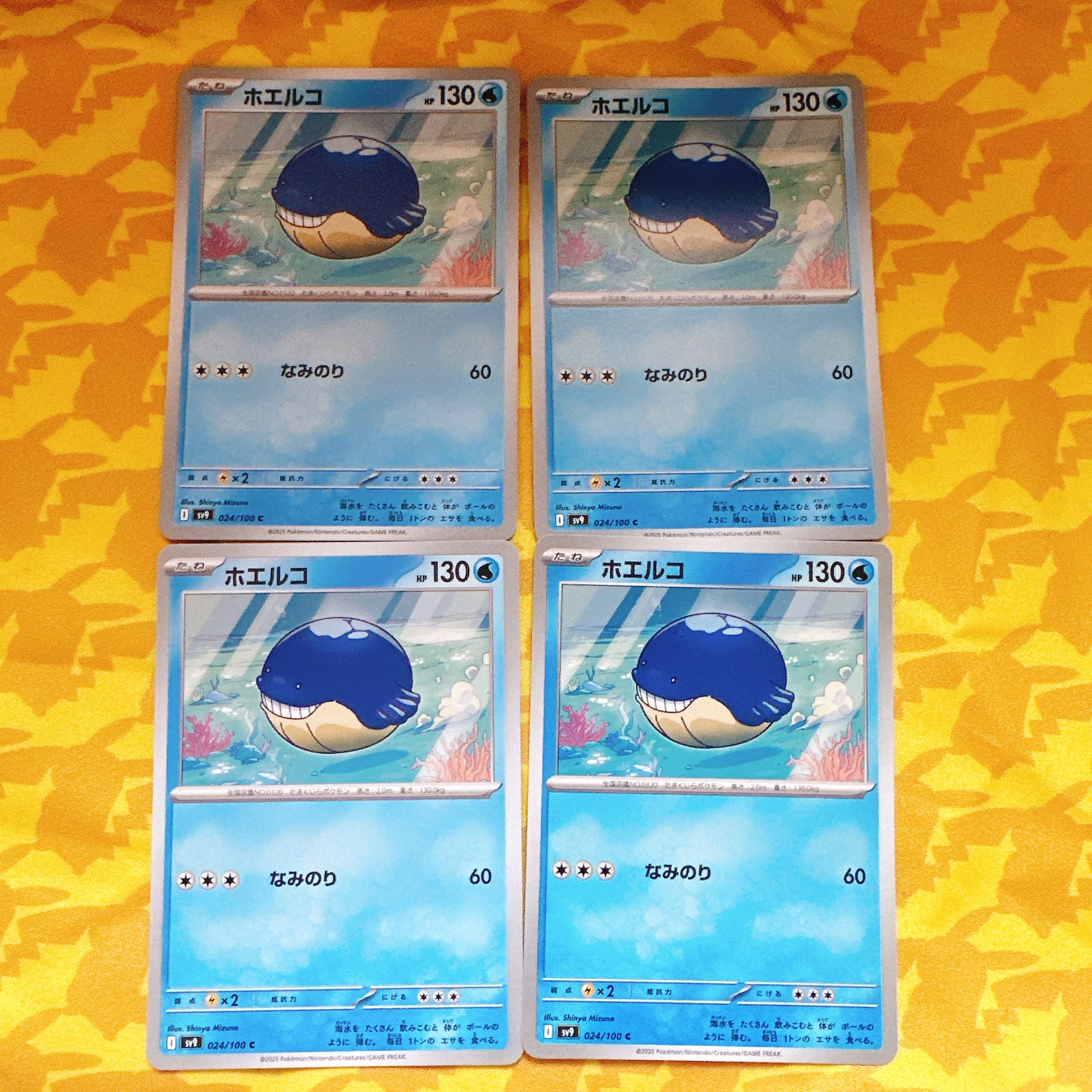 [00293] Wailmer C 024/100