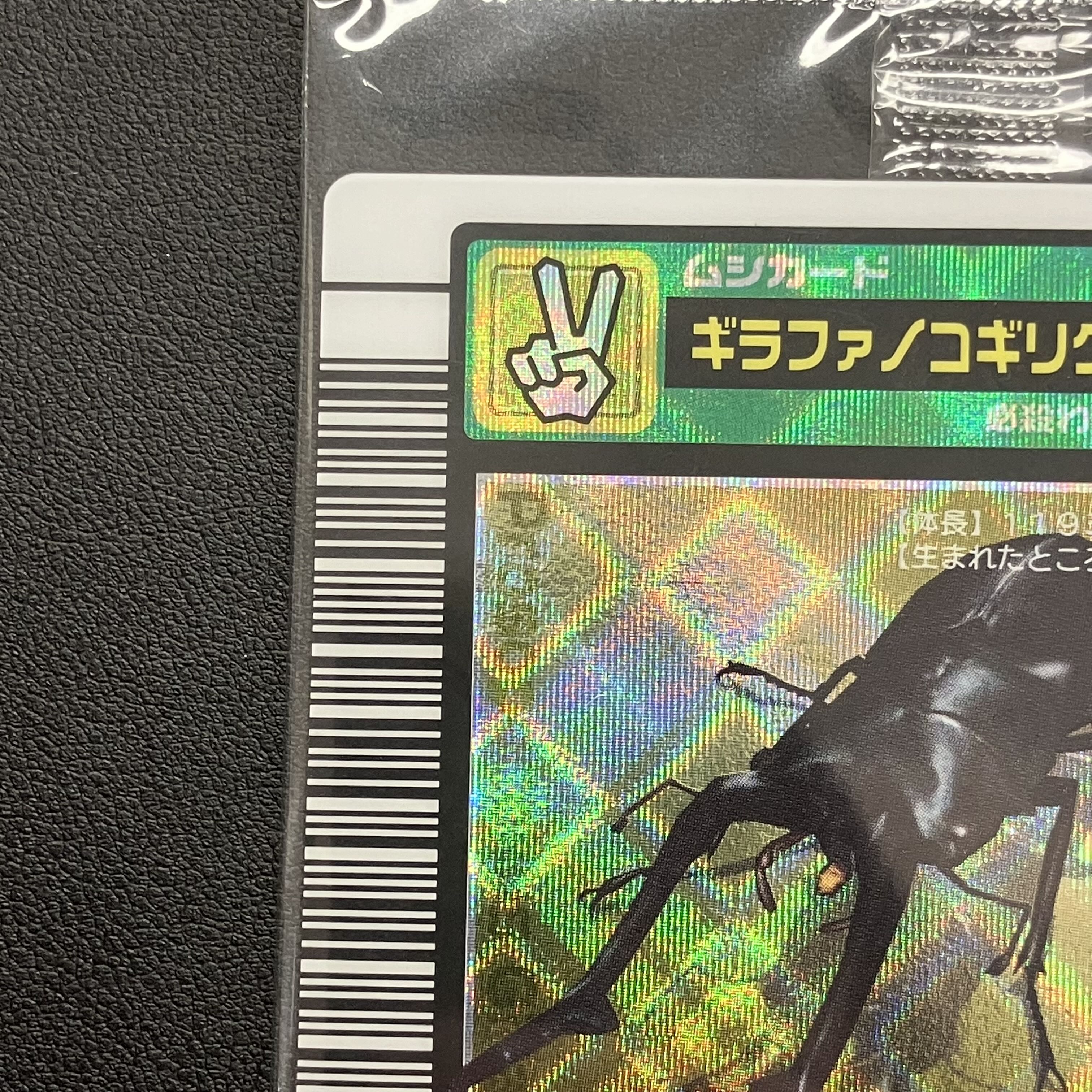 Giraffa sawtooth stag beetle, 5th anniversary coating specification, unopened