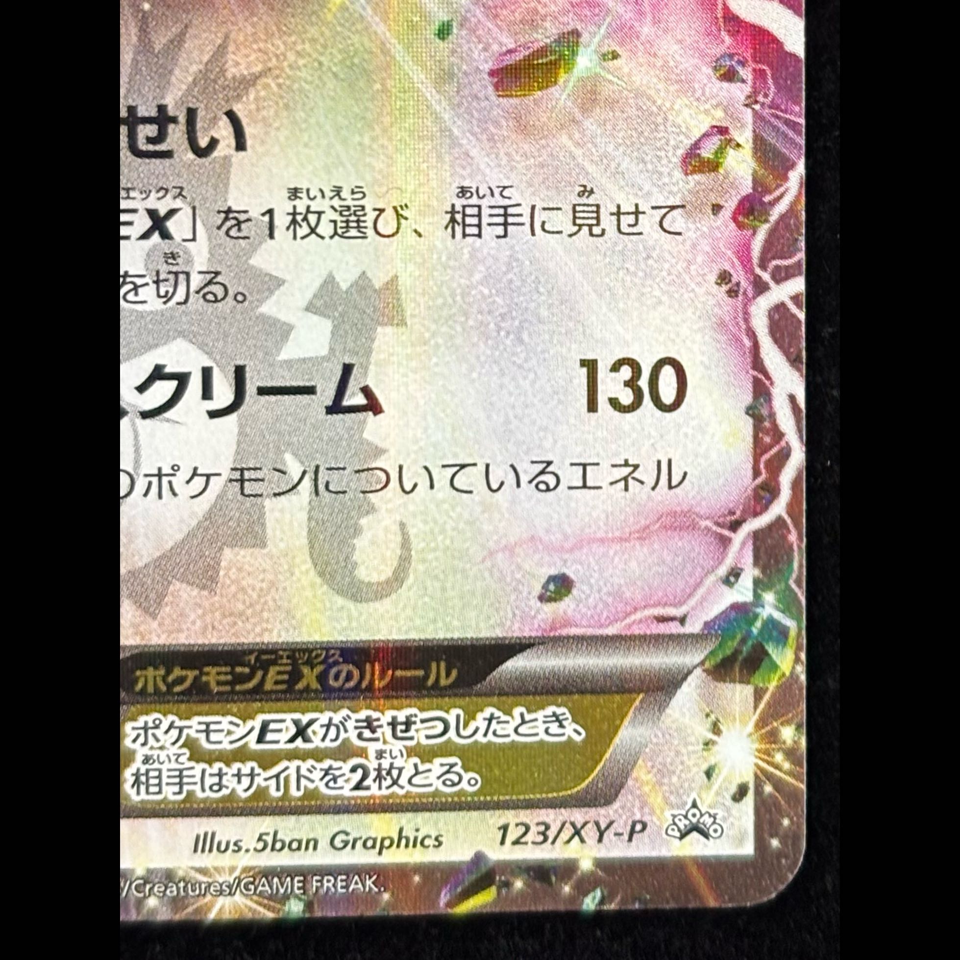 Rayquaza EX PROMO 123/XY-P 1枚