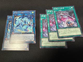 絢嵐たる海霊ヴァルルーン　BPRO-JP049  絢嵐たる軒昂　BPRO-JP065