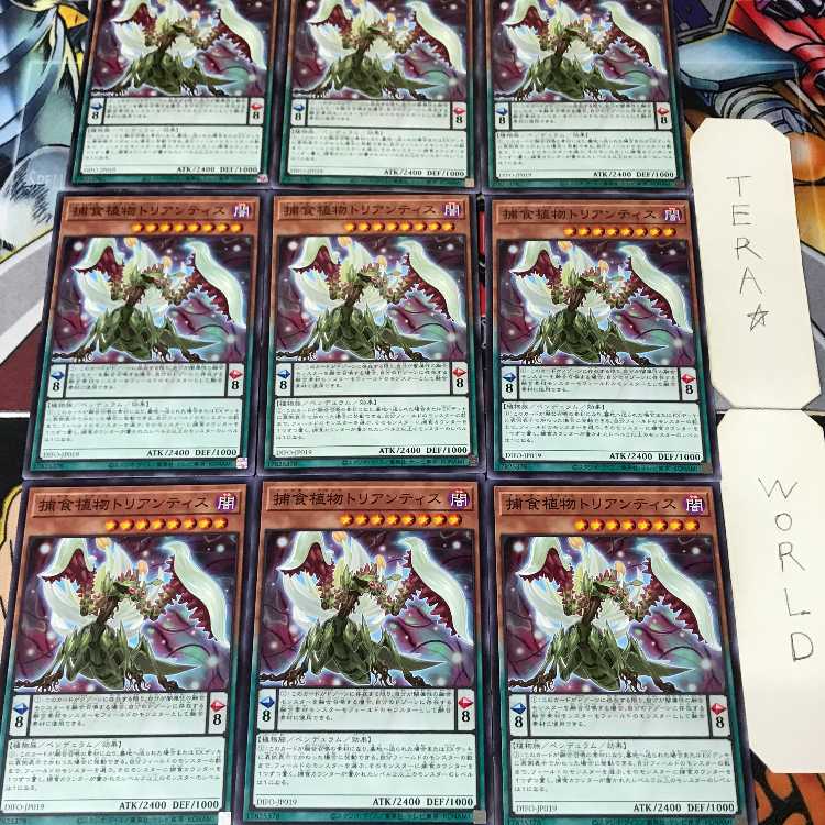 1 Normal Parallel, Trap, Set of 9, Tera. 9枚