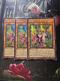 ブラック・マジシャン・ガール アジア」の激安通販 | magi ブラック・マジシャン・ガール アジア」の激安通販 | magi