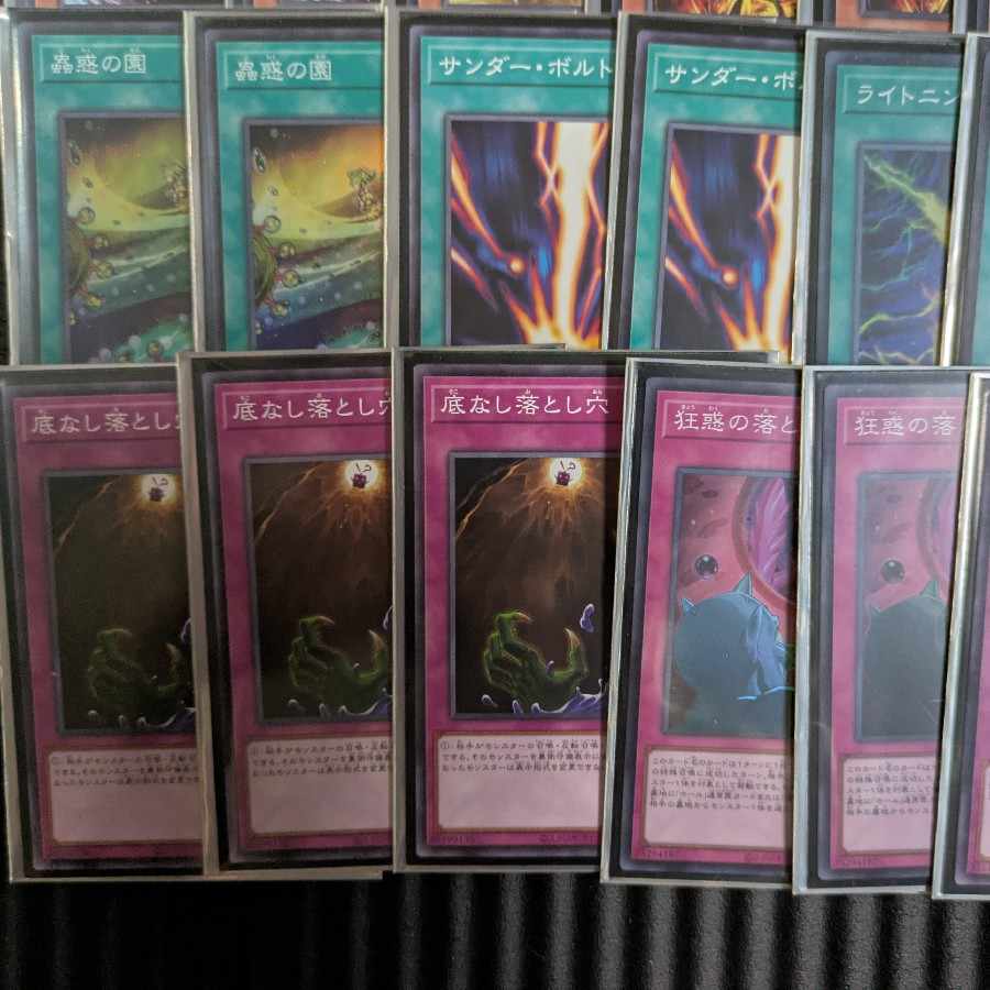 遊戯王 蟲惑魔 デッキ 本格構築 セラの蟲惑魔 ティオの蟲惑魔