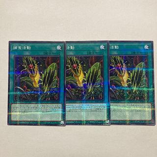 Predapractice parallel normal JP040