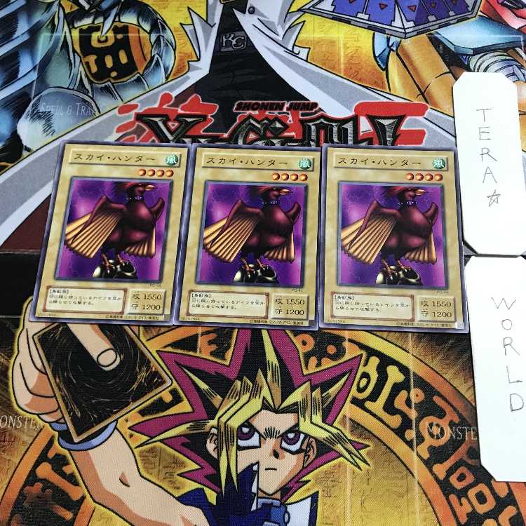 スカイ・ハンター PG 2期ver 7 ノーマル 3枚セット てら