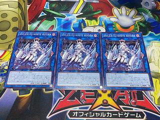 Y-3129 M∀LICE〈Q〉WHITE BINDER ノーマル DBCB-JP019