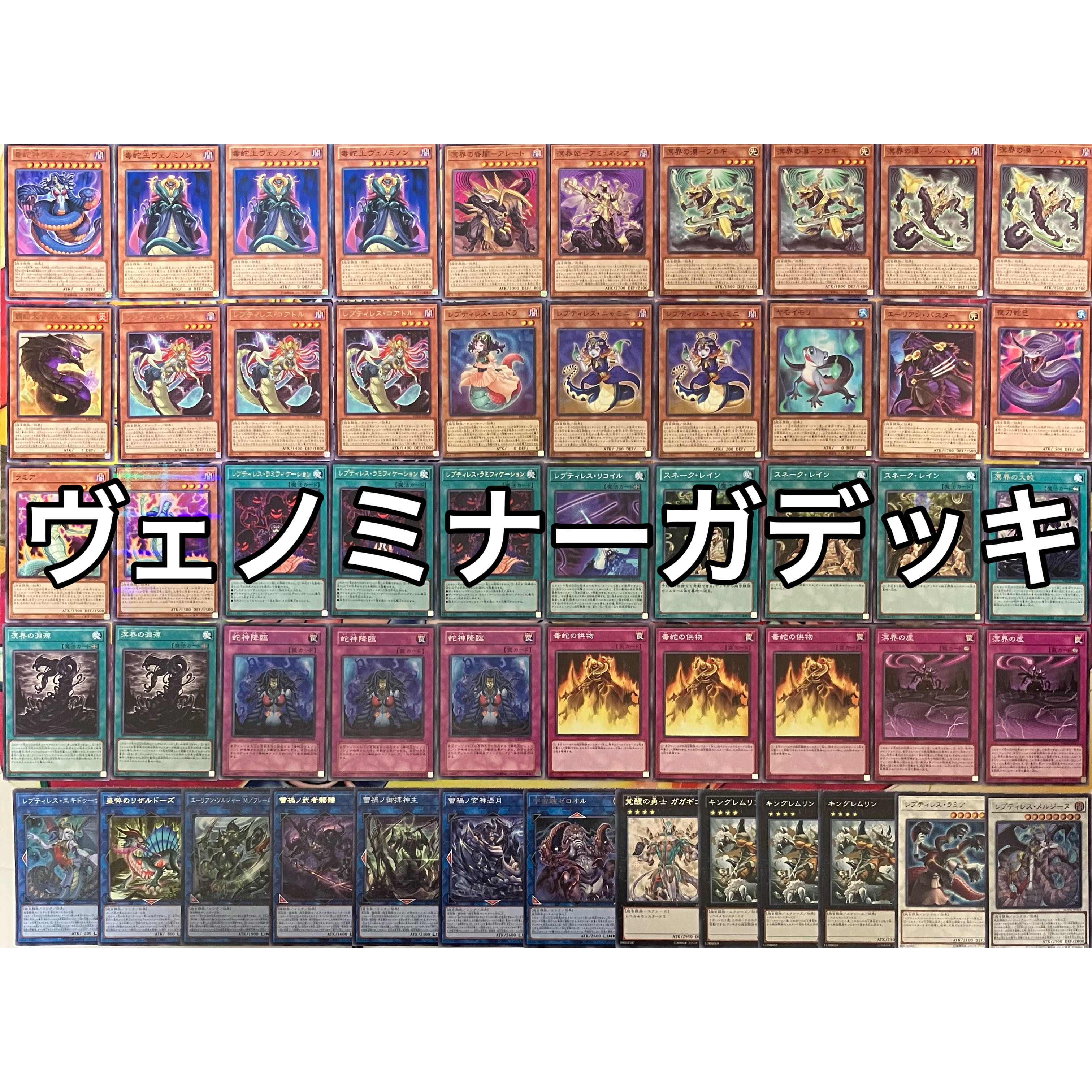 No.1516 ヴェノミナーガデッキ ヴェノムデッキ 遊戯王 Vennominaga deck 1枚