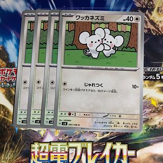 ワッカネズミ C 091/106