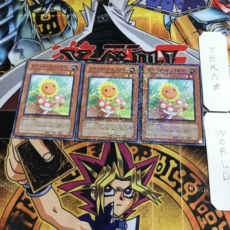 ナチュル・サンフラワー 3 デュエルターミナル 3枚セット てら