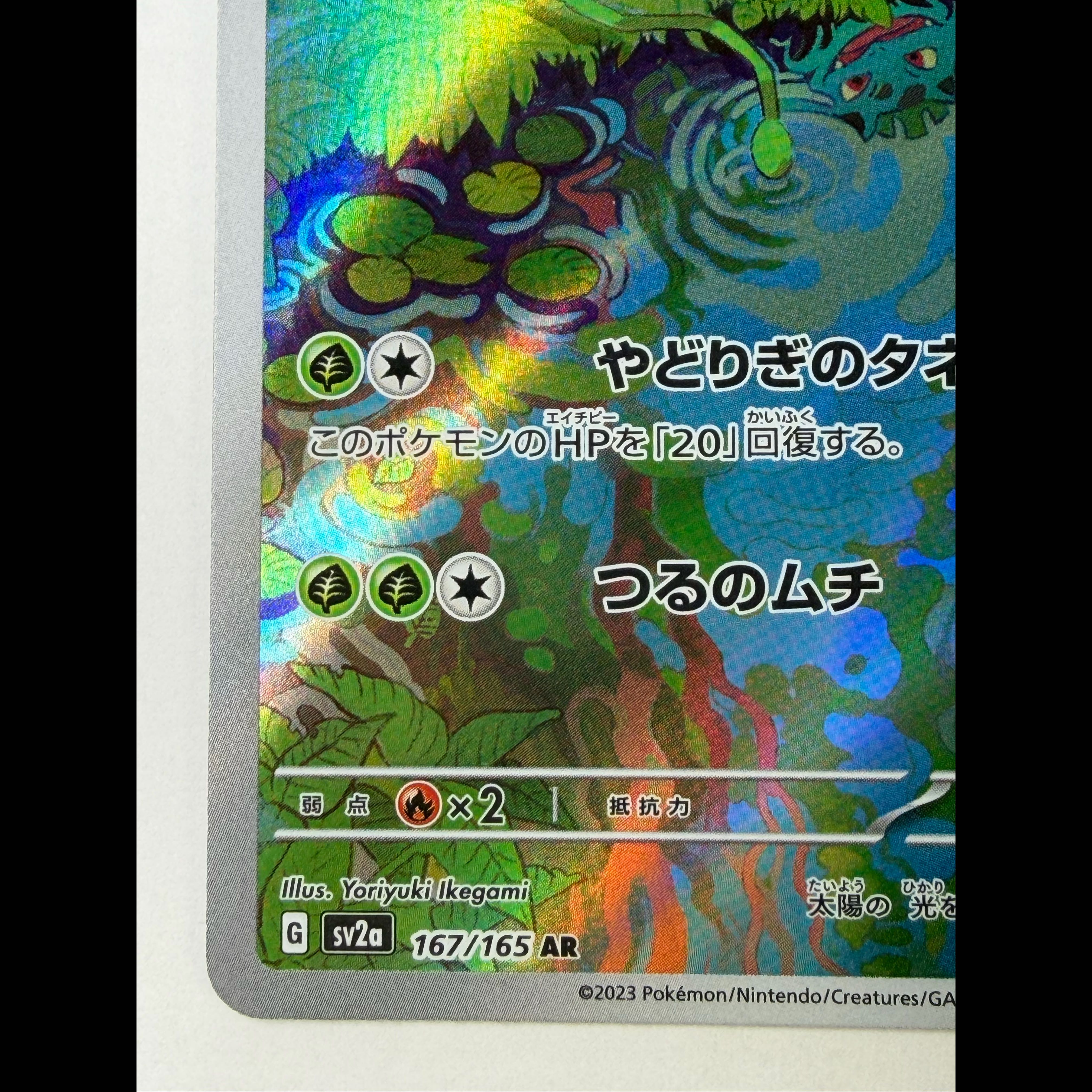 Ivysaur AR 167/165 1枚