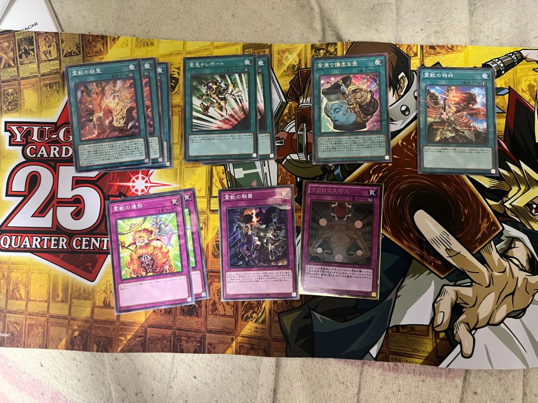 Yu-Gi-Oh! Reiju Deck (price can be reduced) 1枚