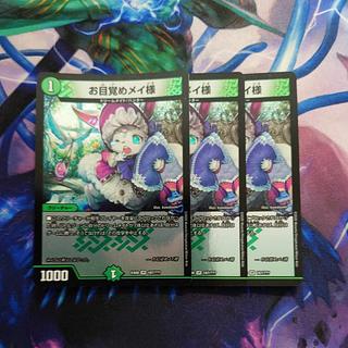 Dear Awakening Rosa, VR 187/?????