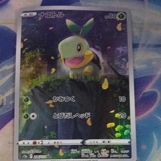 State B State B Turtwig AR 206/172 1枚
