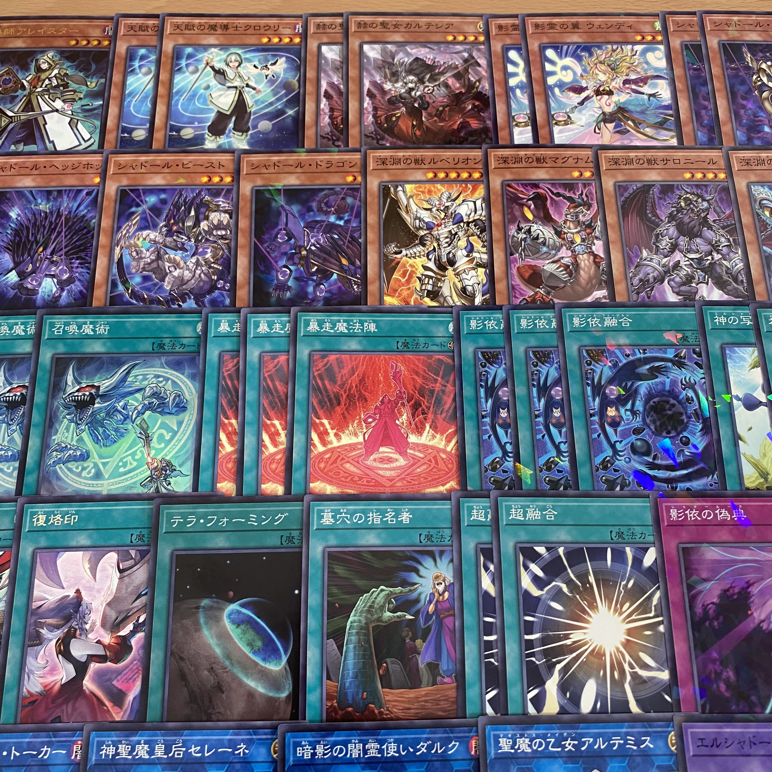 遊戯王 召喚獣 シャドール デッキ 本格構築 召喚士アレイスター 1枚