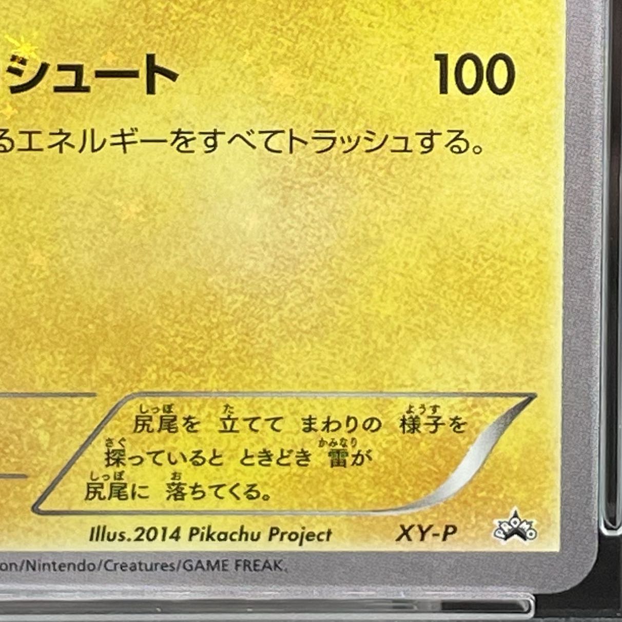PSA10】ピッチのピカチュウ PROMO XY-Pの通販 土日祝休@magi公式 PSA10】ピッチのピカチュウ PROMO XY-Pの通販 土日祝休@magi公式