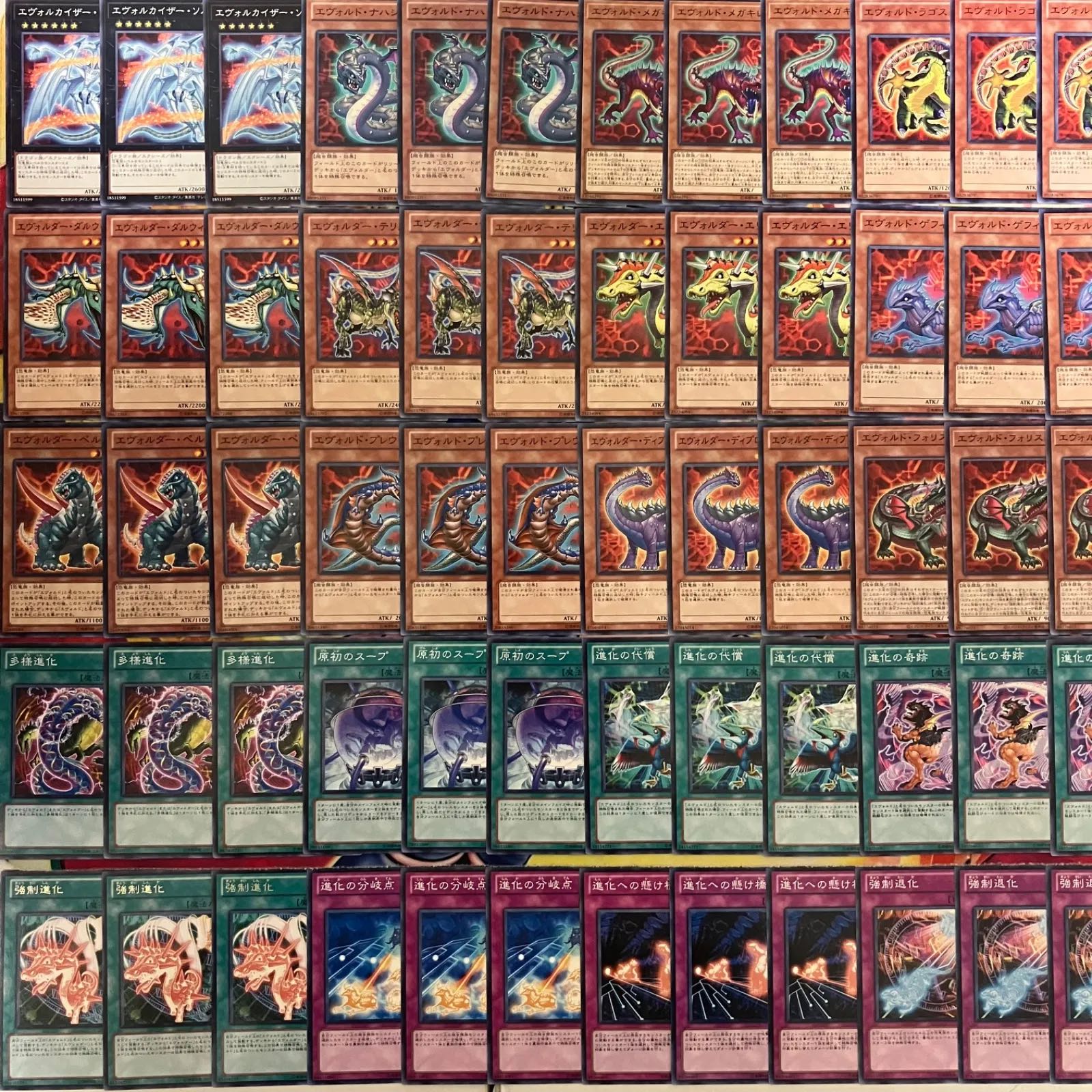 Evol deck parts Yu-Gi-Oh! 1枚