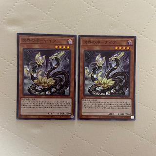 Naiya the Tailings of the Sea [Super] {DBAG-JP002} [Monster] 2 *.