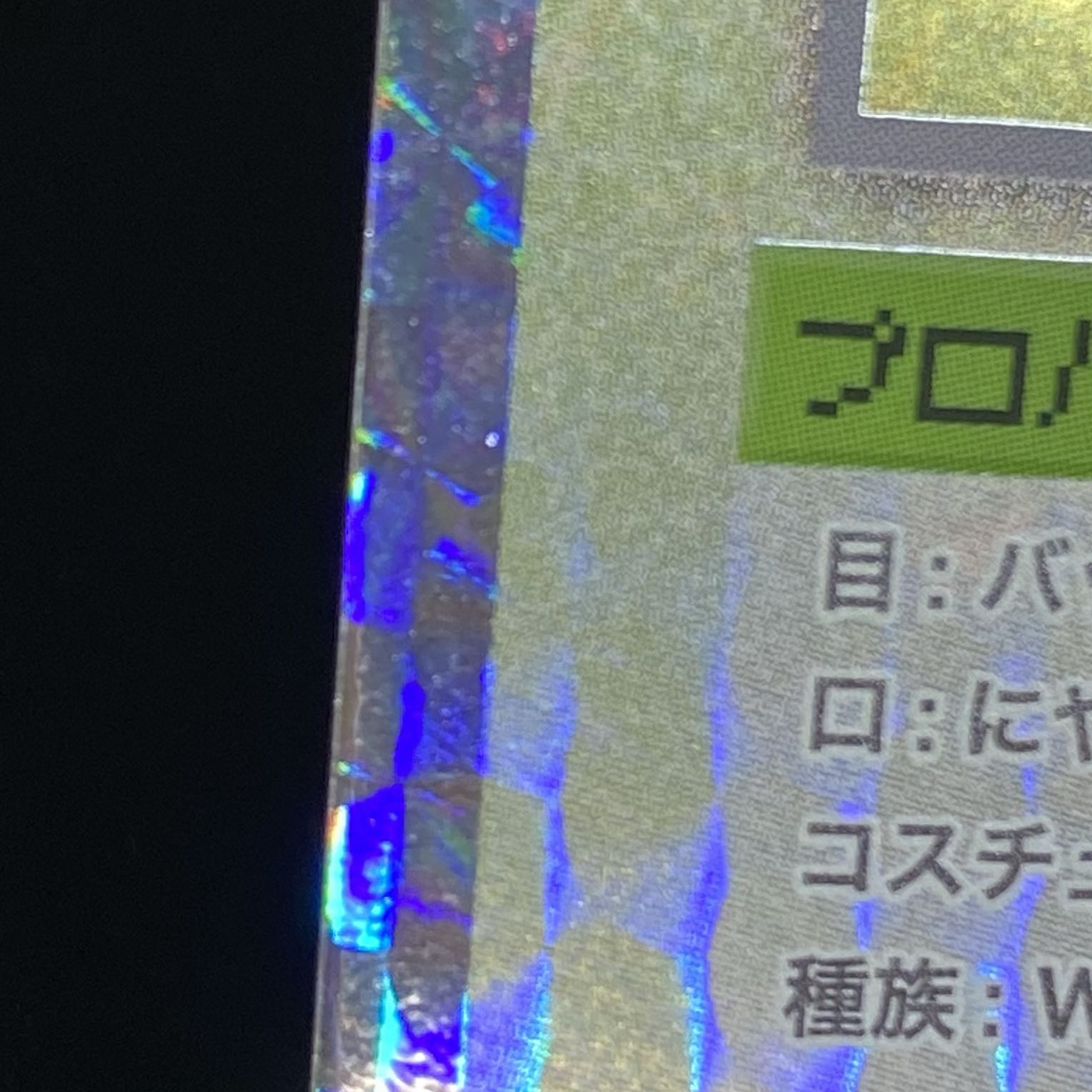 Murakami.Flowers バタフライ SR SP-095 1枚