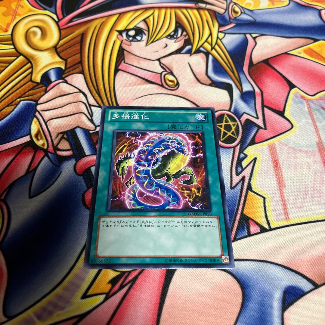 Evo-Diversity Normal JP058